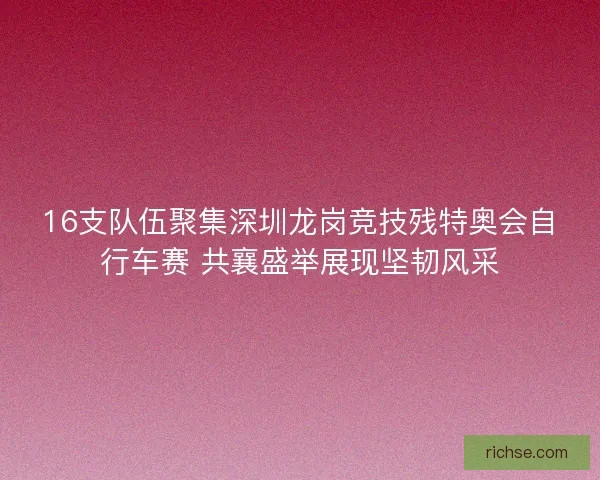 16支队伍聚集深圳龙岗竞技残特奥会自行车赛 共襄盛举展现坚韧风采